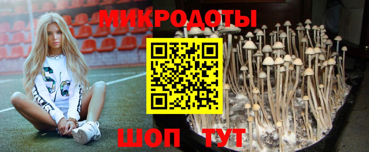 закладки  Вход с VPN  Орёл  Псилоцибиновые грибы прущие грибы 